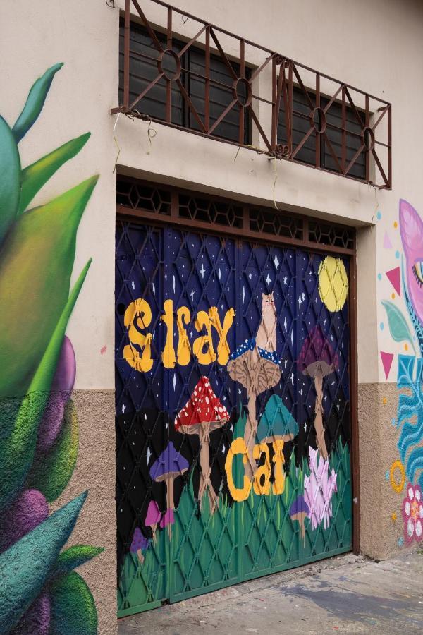 Stray Cat Hostel San Jose  Exterior photo